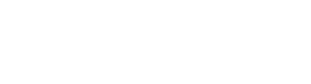 logo2